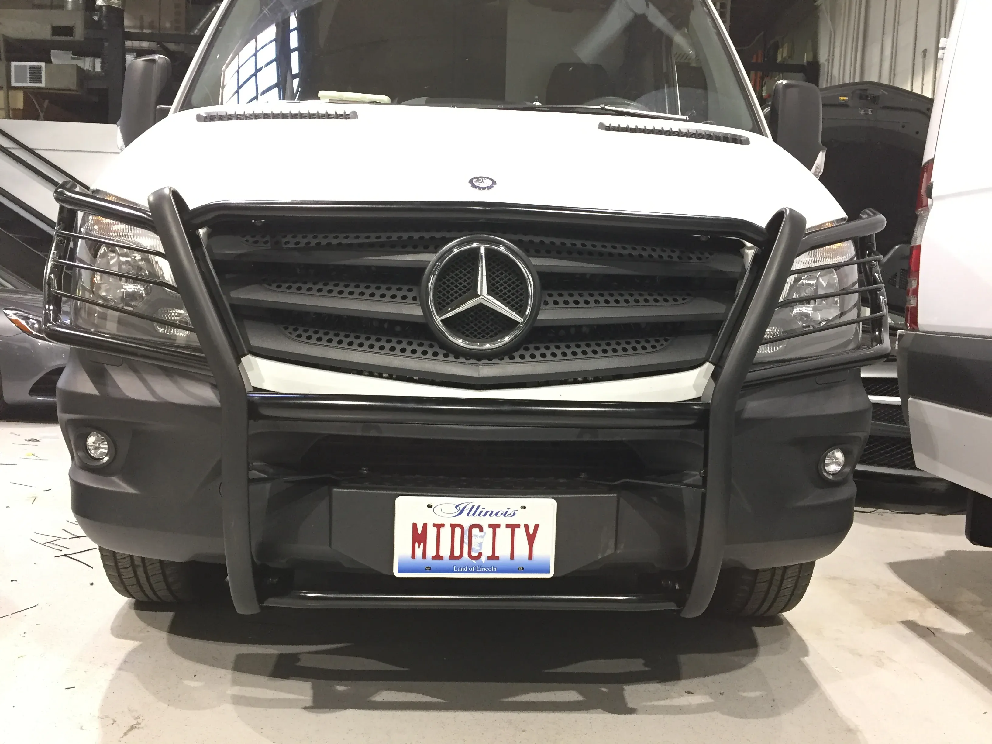 Sprinter Brush Guard